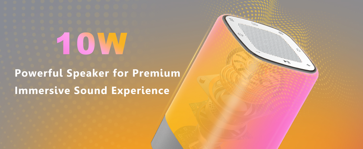 Bluetooth Speaker Alarm Clocks for Bedrooms with Wake up Light