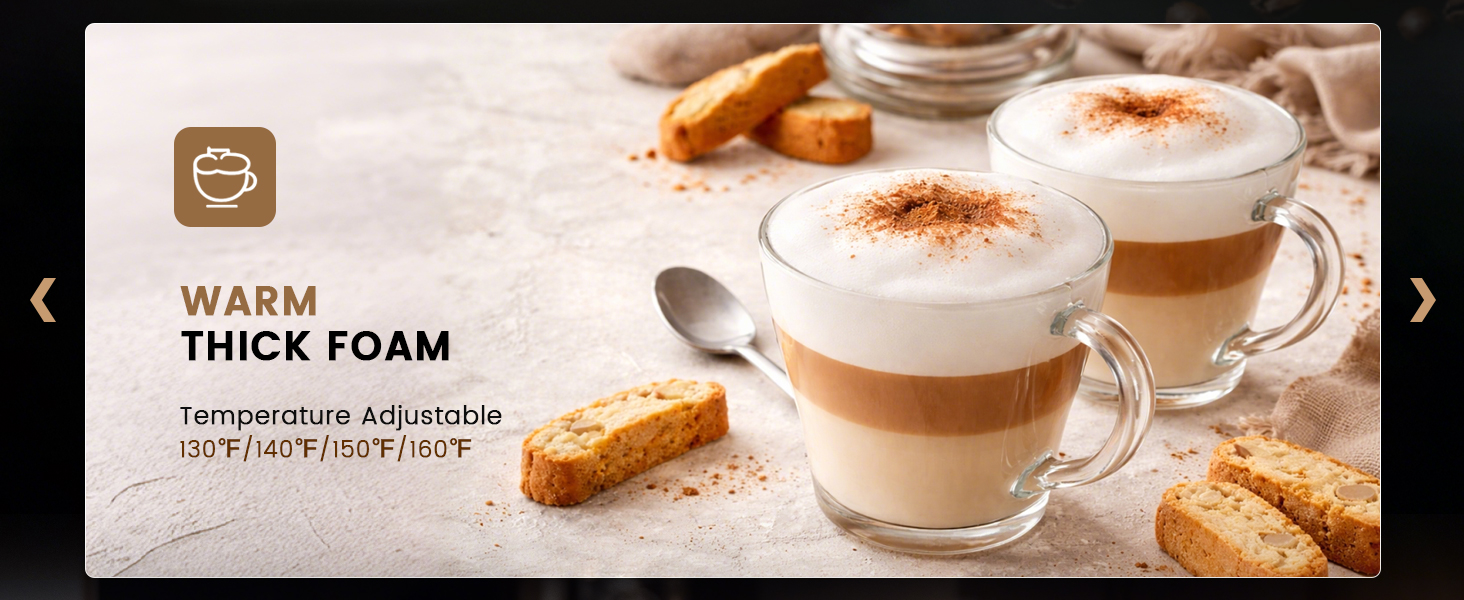 Electric Milk Frother