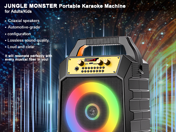 karaoke machine for adults