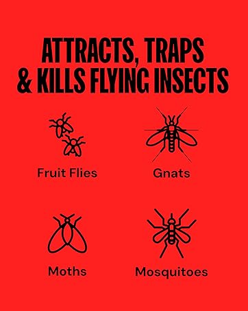 Dynatrap indoor fly trap attracts and kills flying insects