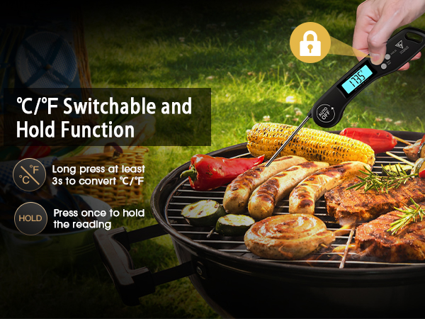 meat thermometer