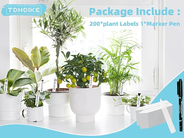 plant tags