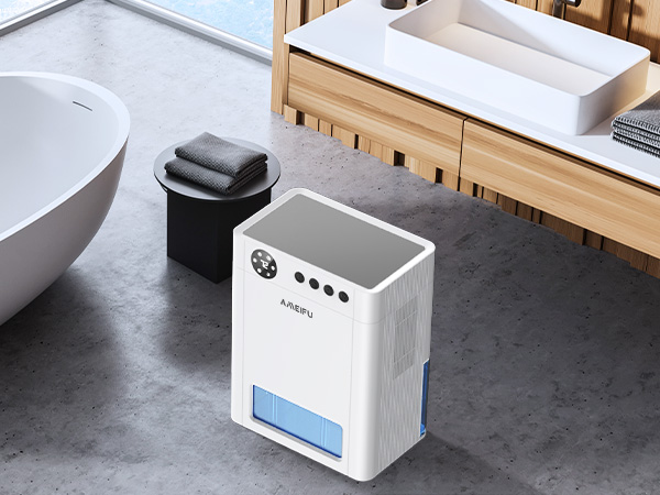 Dehumidifier