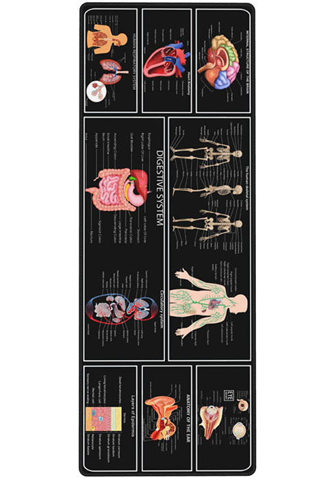 Medical Human Desk Mat