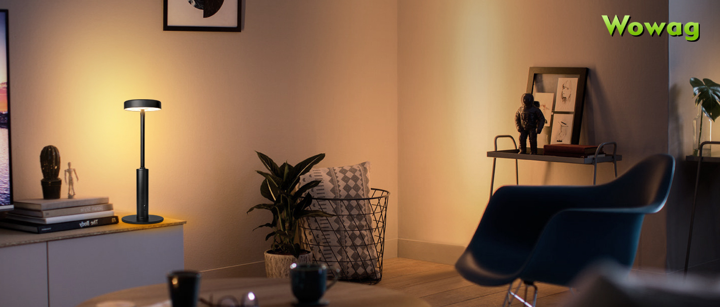 Cordless LED Table Lamp