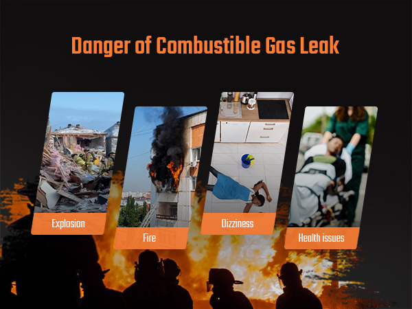 TOPTES PT520A Gas Leak Detector Natural Gas Detector