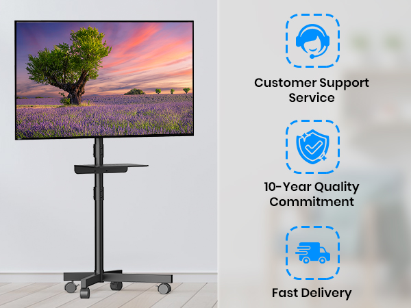 Mobile TV Cart