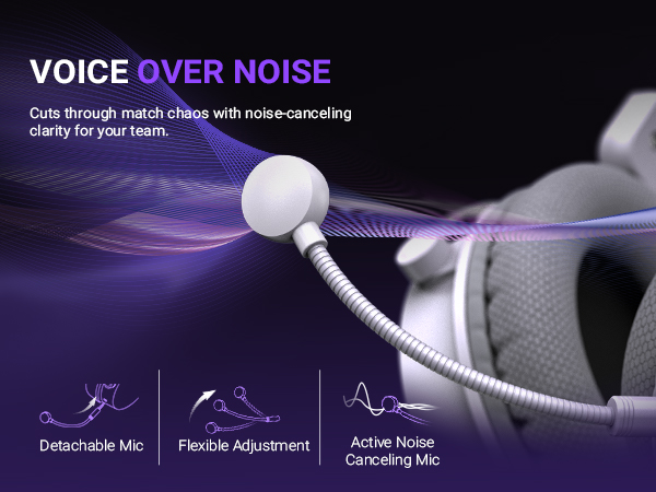 noise canceling mic