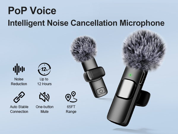 USB C Mini Microphone for iPhone