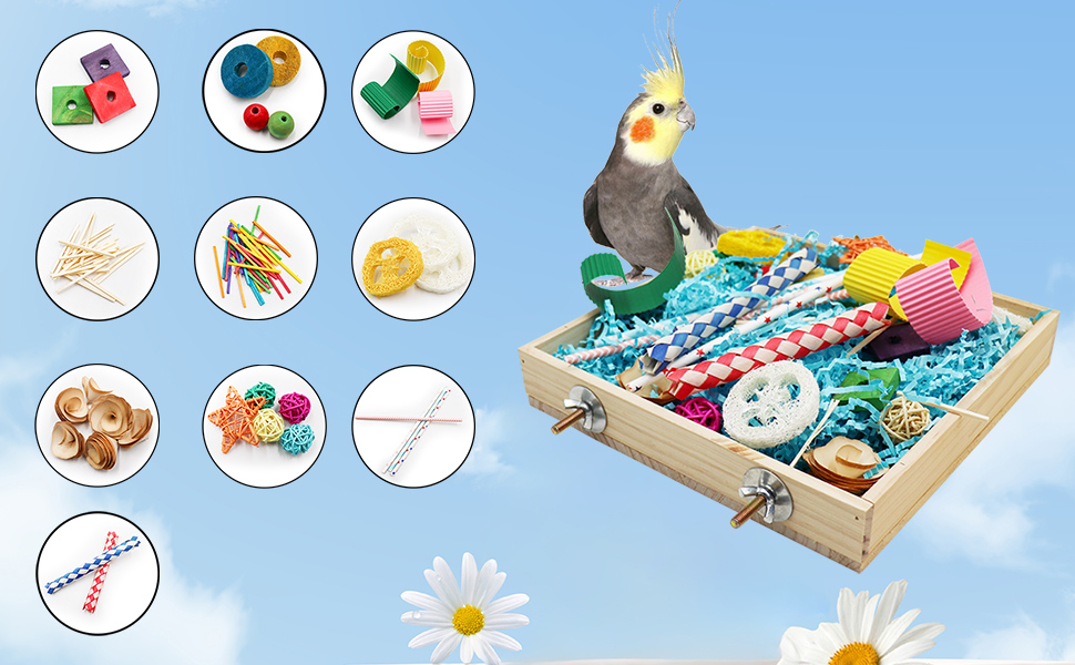 Bird Foraging Toys Box
