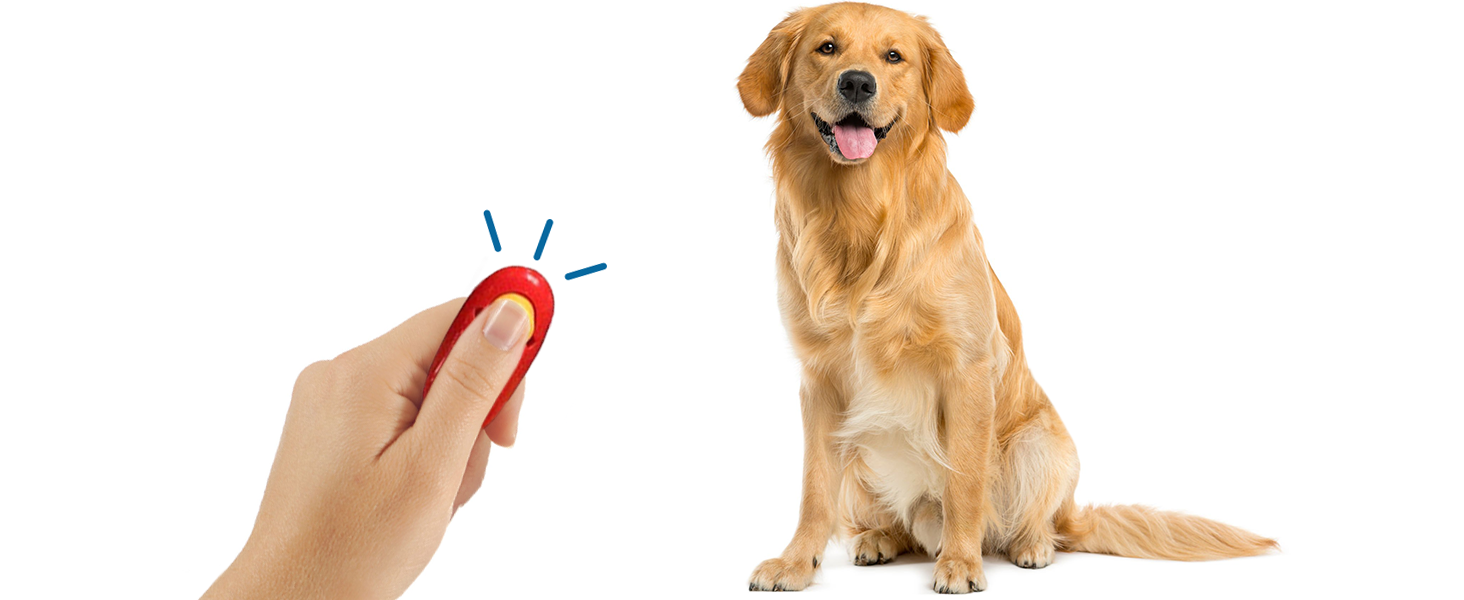Click and Reward
