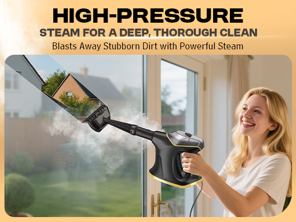 Heavy Duty Steam Cleaner