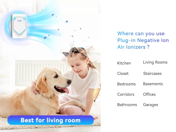 Air Ionizer Plug In