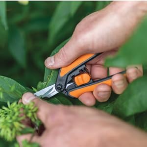 Close up of Micro-Tip Pruning snips being used to prune flowers. Shows the Easy Action spring