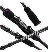 SWEEPFIRE Lure Fishing Rod 6'3