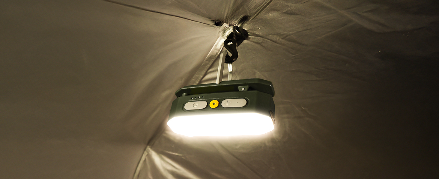 AL01 AREA LIGHT