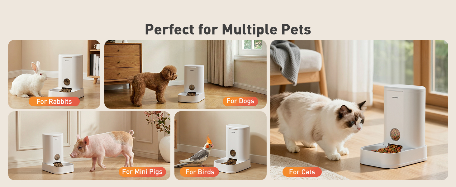 cat feeder and water dispenser