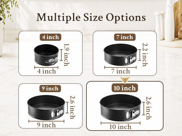 10 inch springform pan