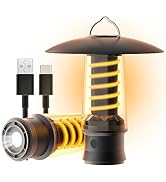 PINSAI Small LED Camping Lantern,Rechargeable Retro Warm Camp Light,Battery Powered Hanging Vinta...
