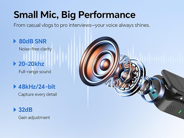 Small Mic, Big Performance