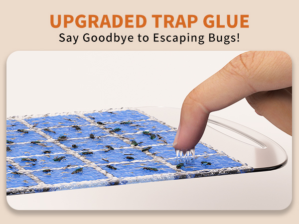 fly traps