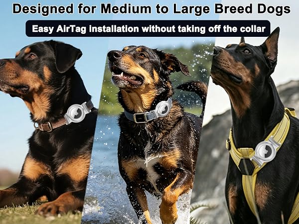 dog airtag holder