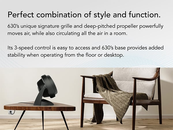 Efficient Style Mobile