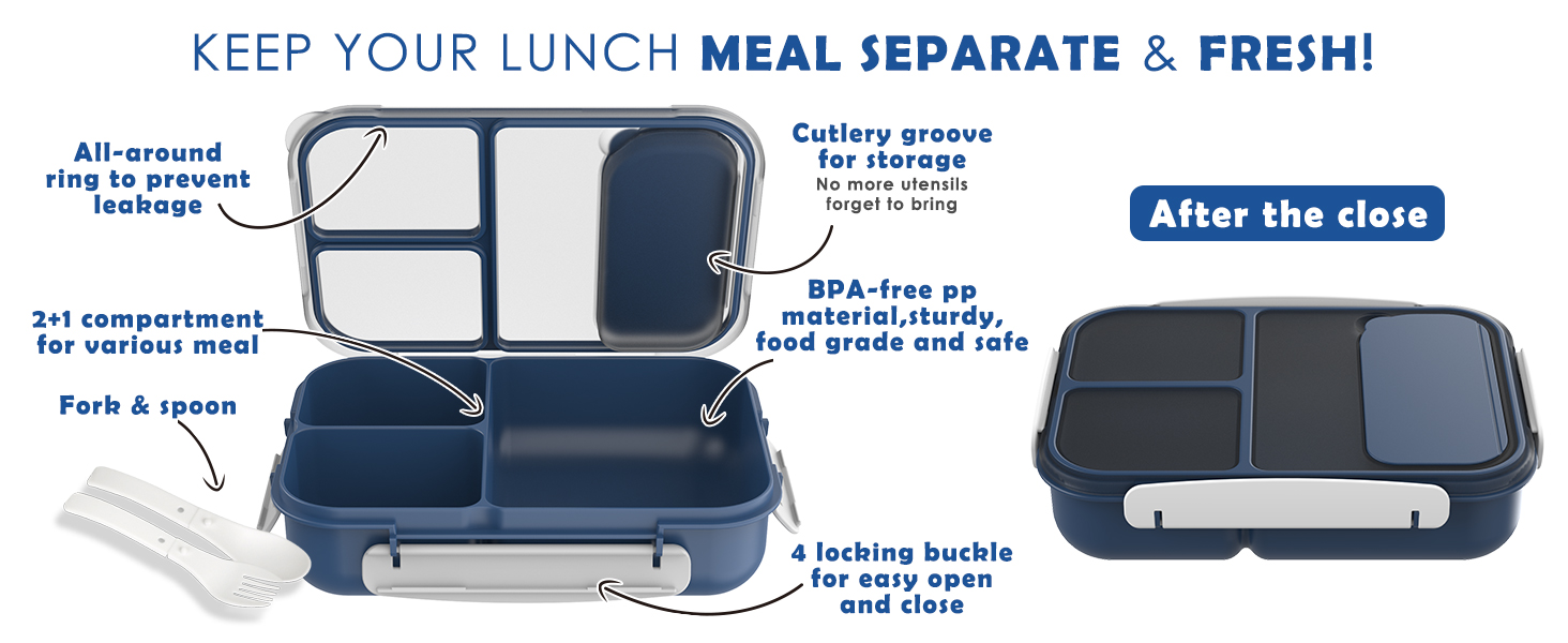 Large Capacity Bento Box for Adult