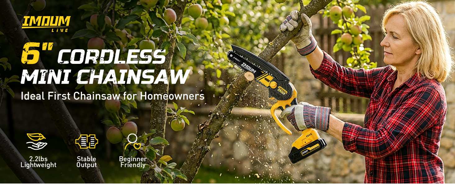 6 inch cordless chainsaw,pruning saw
