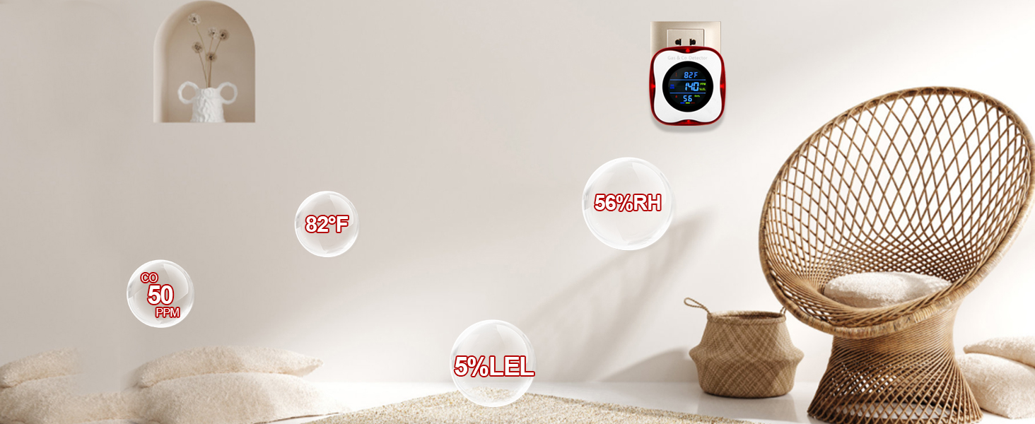 gas and carbon monoxide detector