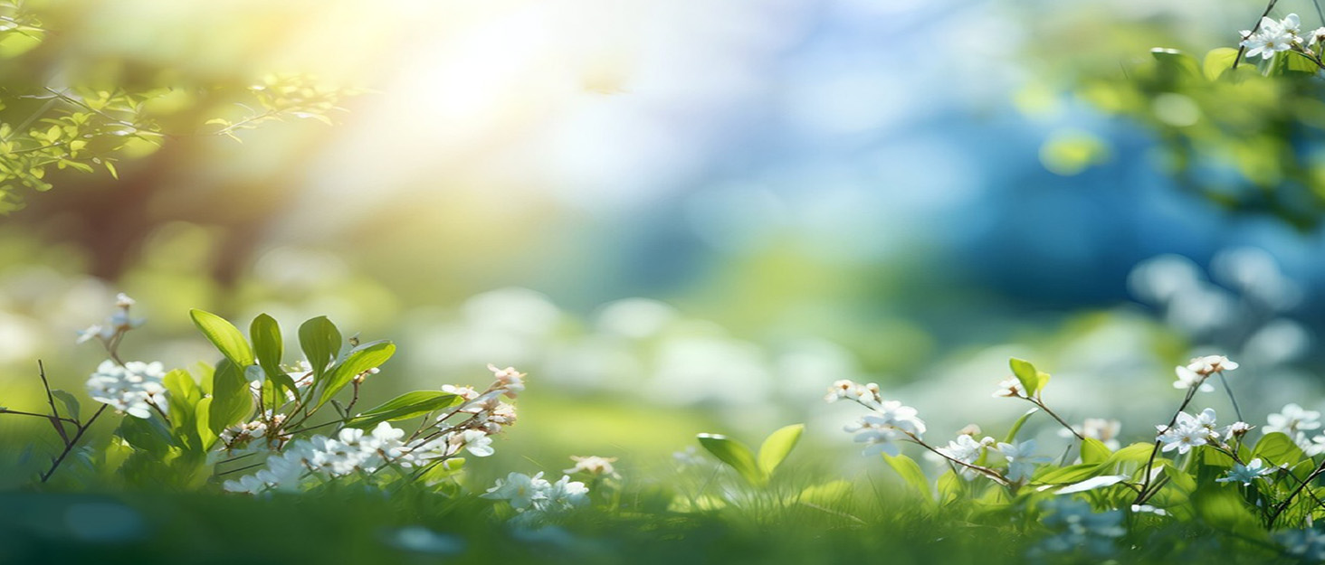 hree-section Large rain gauge