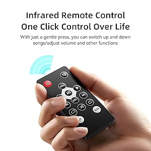 remote control