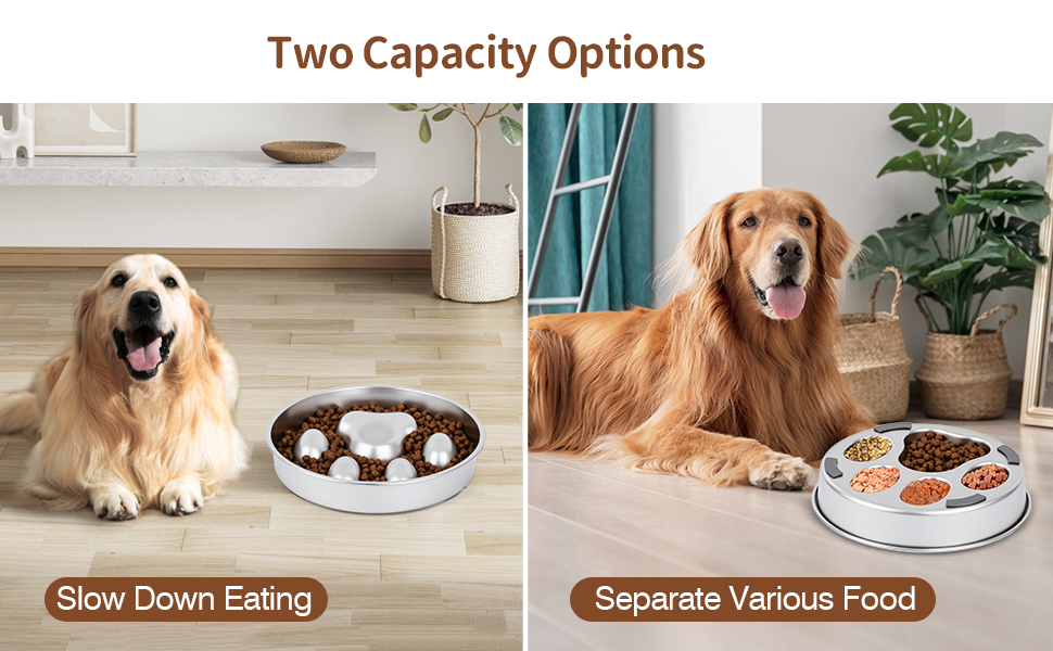 slow eating dog bowl