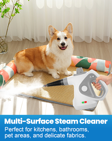 handheld steam cleaner
