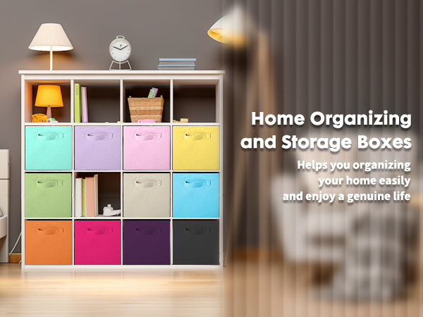 Storage Bins
