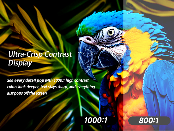 usb monitor portable