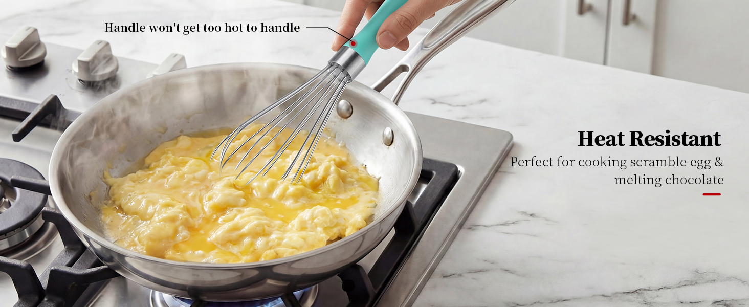 Stainless Steel Balloon Wisk