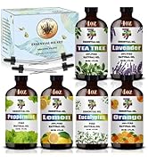 Essential Oil Set - Six Bottles (4 oz/120 ml) of Lavender, Peppermint, Lemon, Sweet Orange, Tea T...