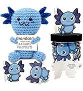 Drnytunk Positive Crochet Axolotl, Handmade Emotional Support Crochet Animals with 30Pcs Affirmat...