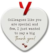 SOL VIBES Work Colleague Gift, Christmas Decorative Ornaments, Thank You Xmas Ornament for Cowork...