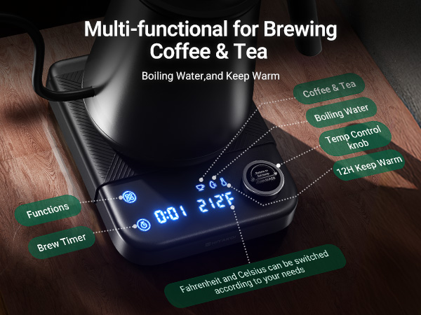  gooseneck kettle electric