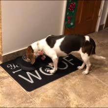 3 cups dog food bowls