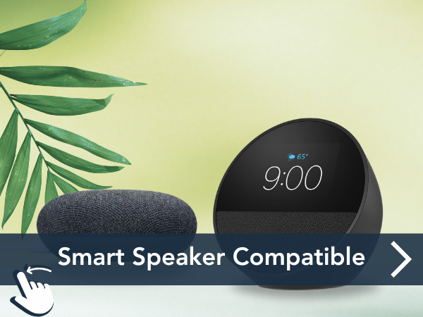 smart speaker alexa and google home