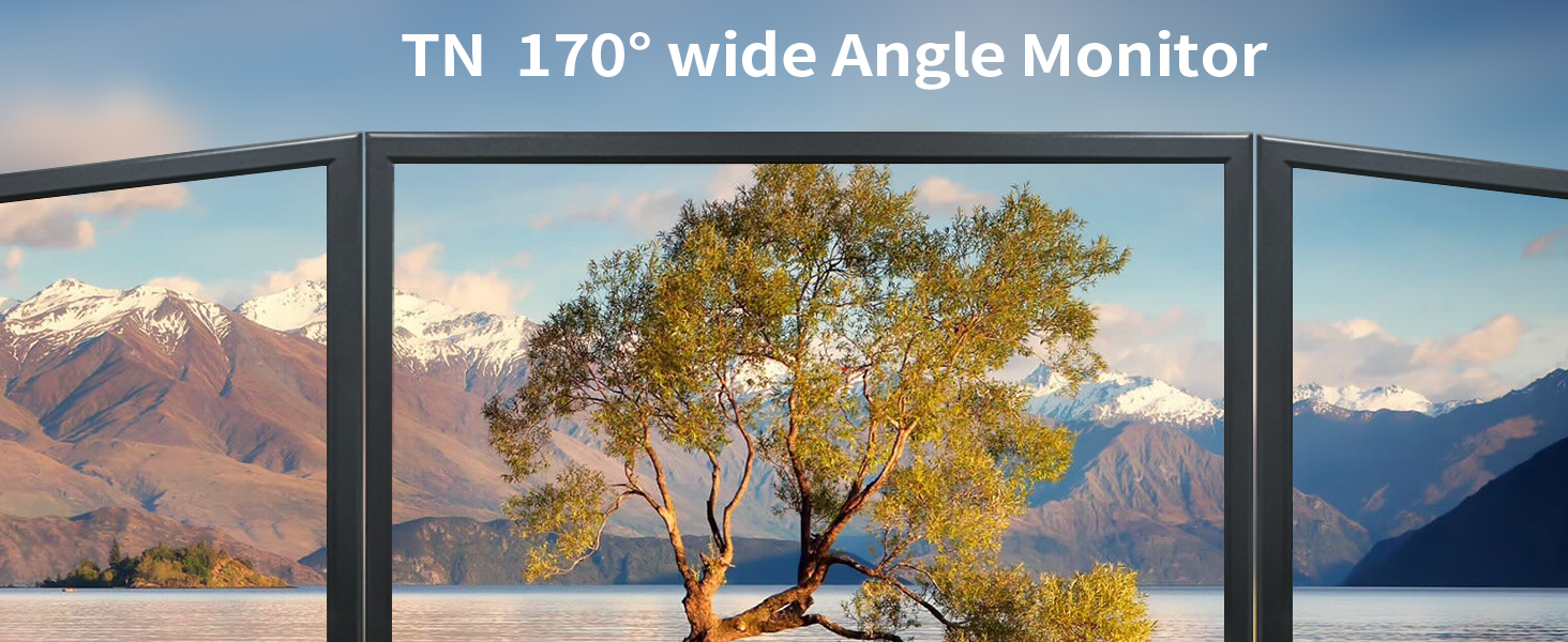 19 inch computer monitor