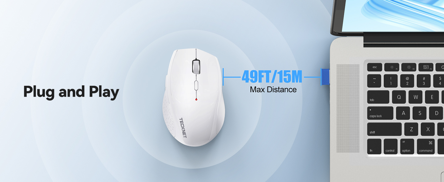 mouse