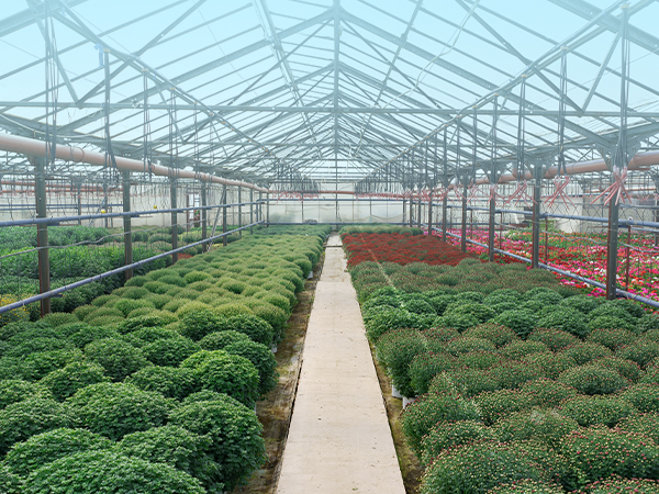 Greenhouses