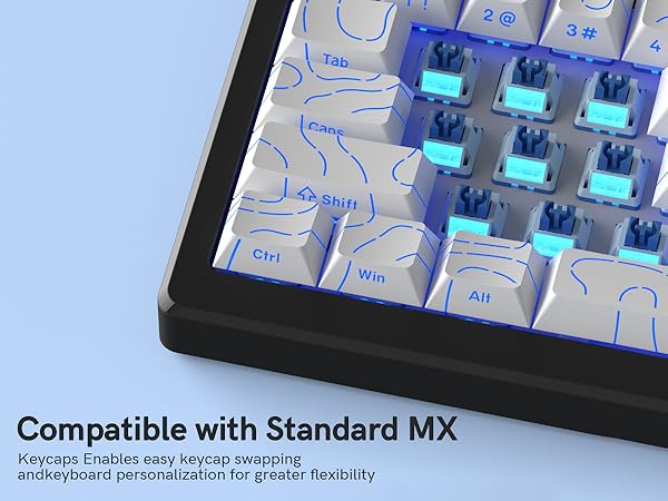 Engineered for Excellence