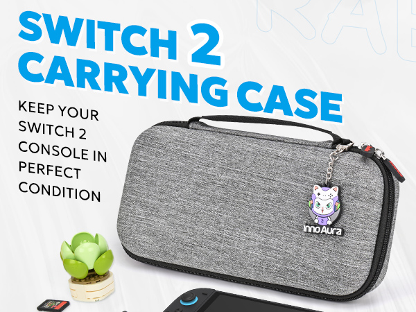 switch 2 case gray