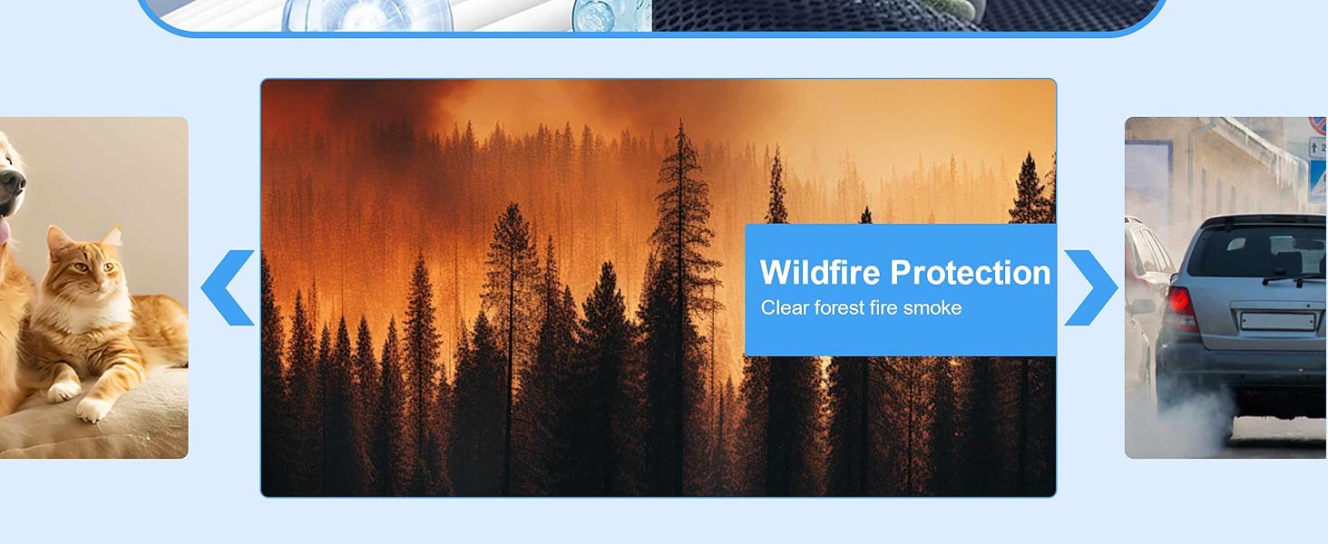 211+ Replacement Filter