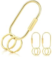 CooBigo Carabiner Clip, Screw Lock Key Organizer, Carabiner Keychain Key Ring for Purse Bag Charms